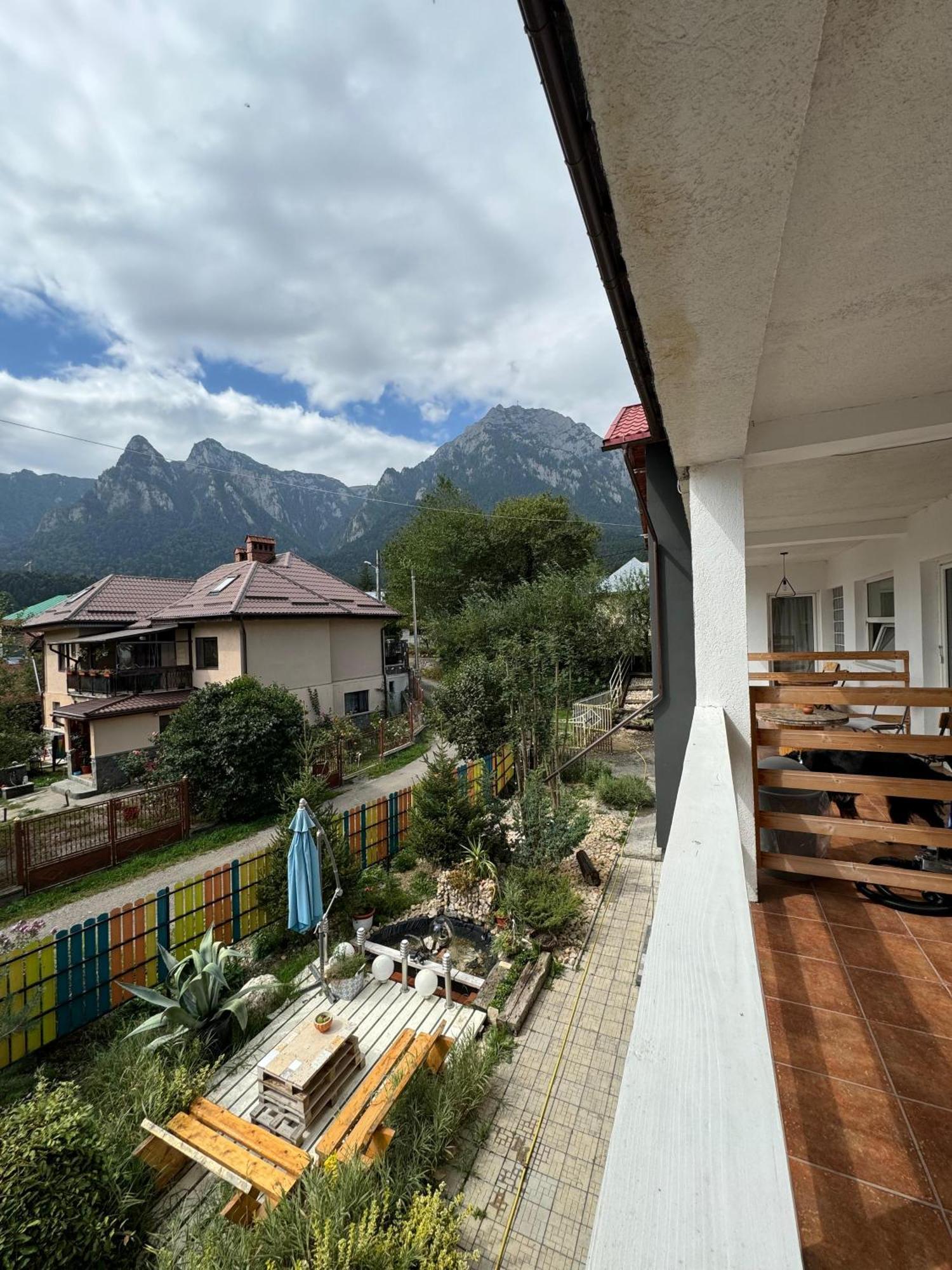ホテル Casa David Buşteni エクステリア 写真
