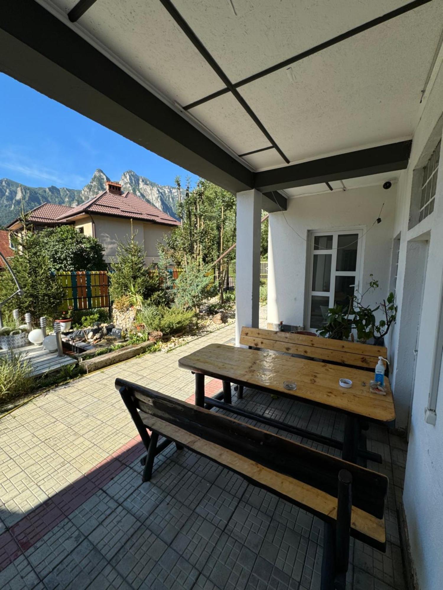 ホテル Casa David Buşteni エクステリア 写真