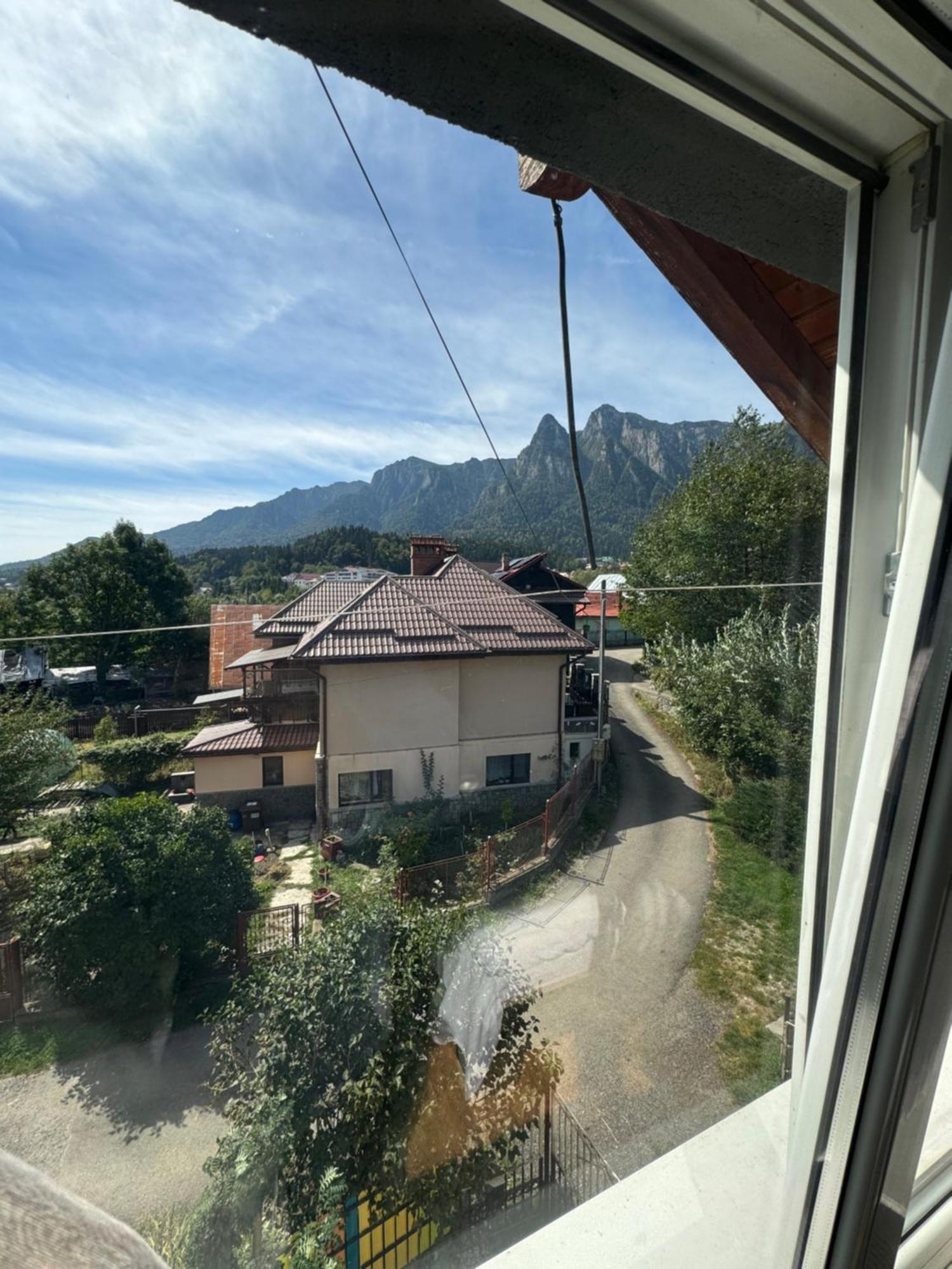 ホテル Casa David Buşteni エクステリア 写真