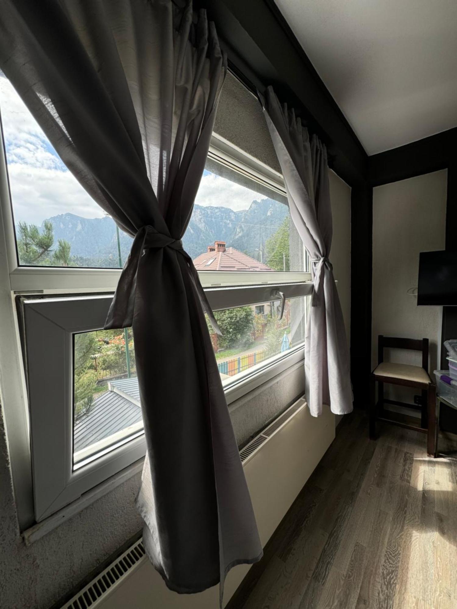 ホテル Casa David Buşteni エクステリア 写真