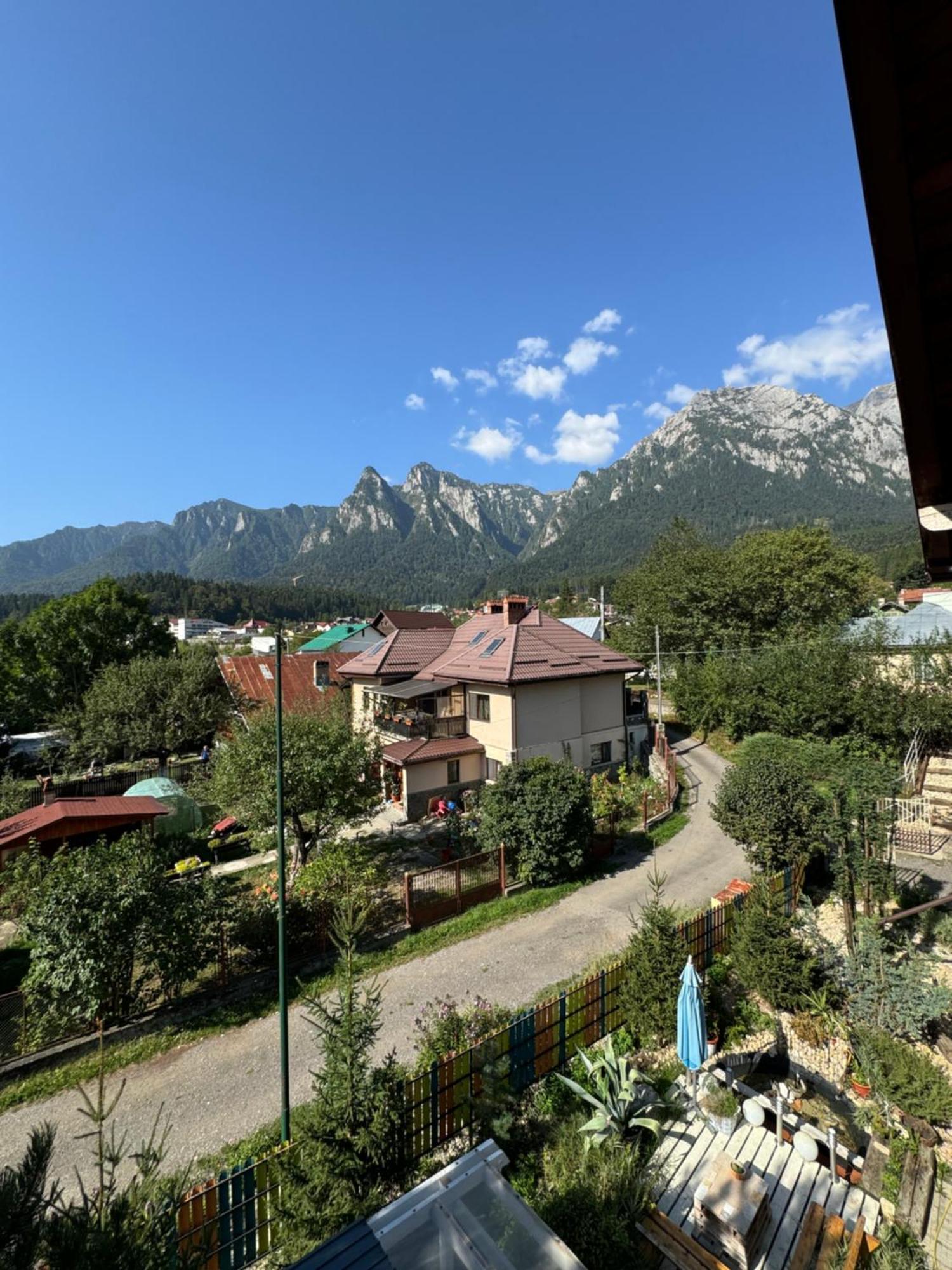ホテル Casa David Buşteni エクステリア 写真