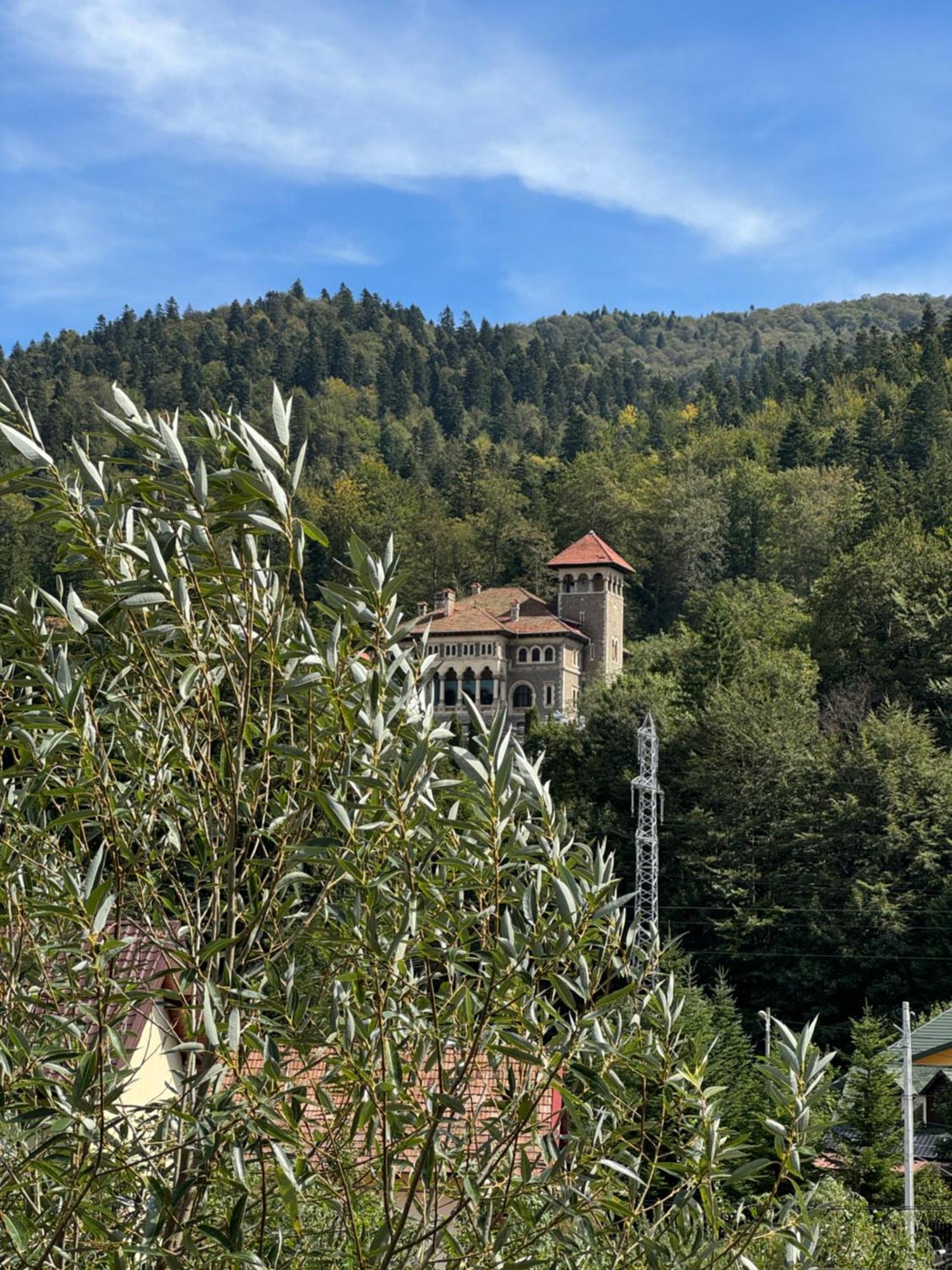 ホテル Casa David Buşteni エクステリア 写真