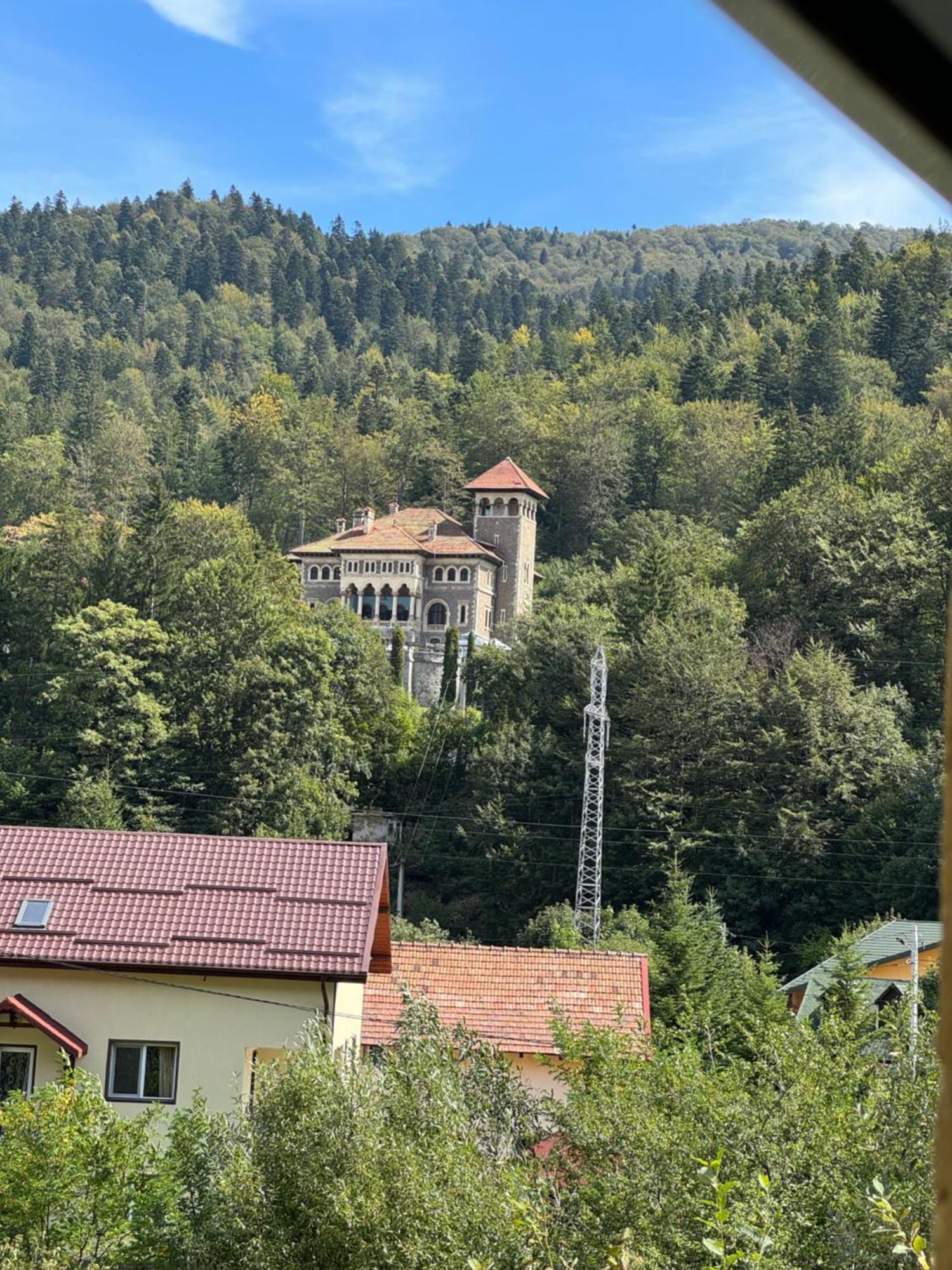 ホテル Casa David Buşteni エクステリア 写真
