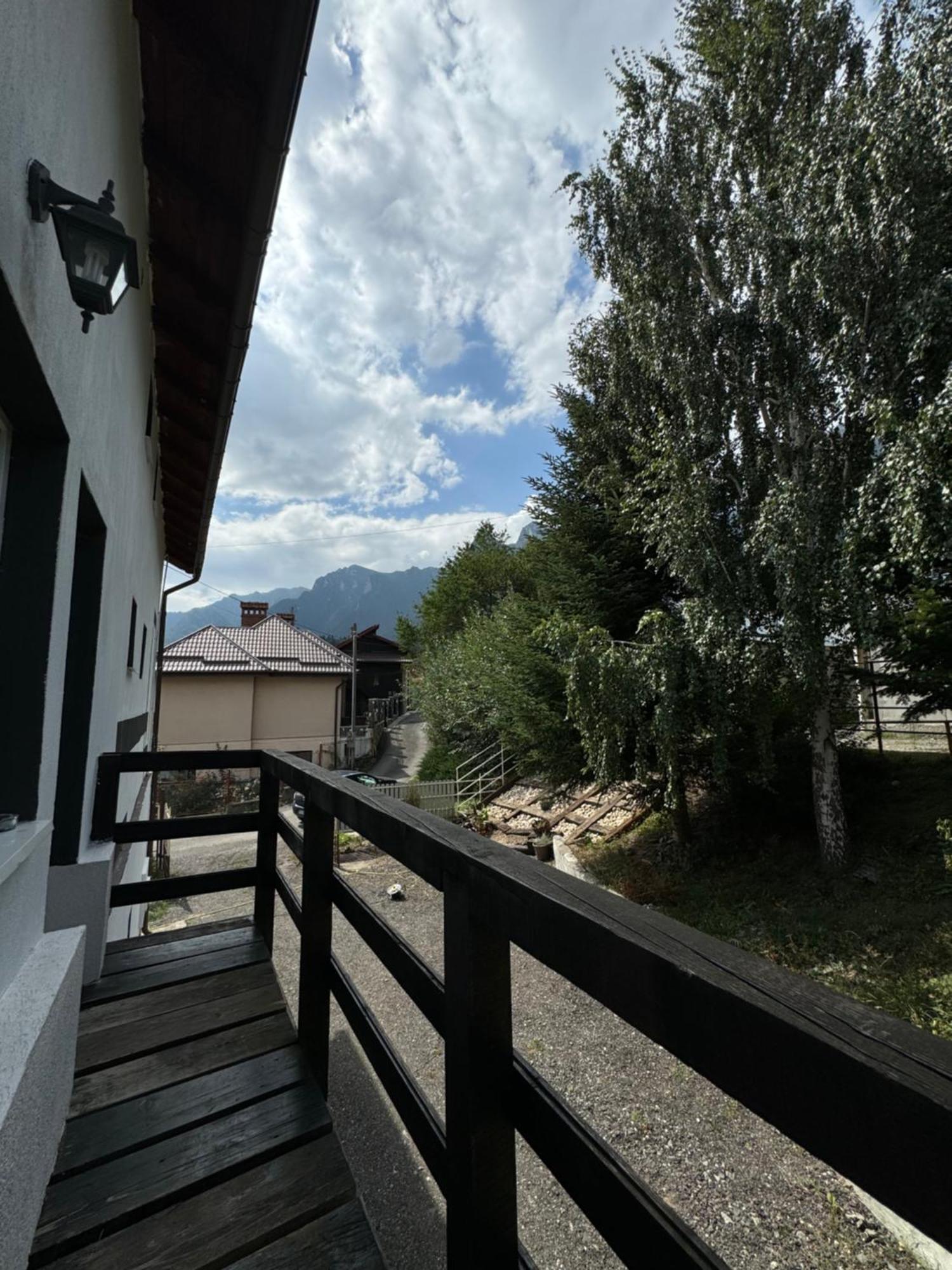 ホテル Casa David Buşteni エクステリア 写真