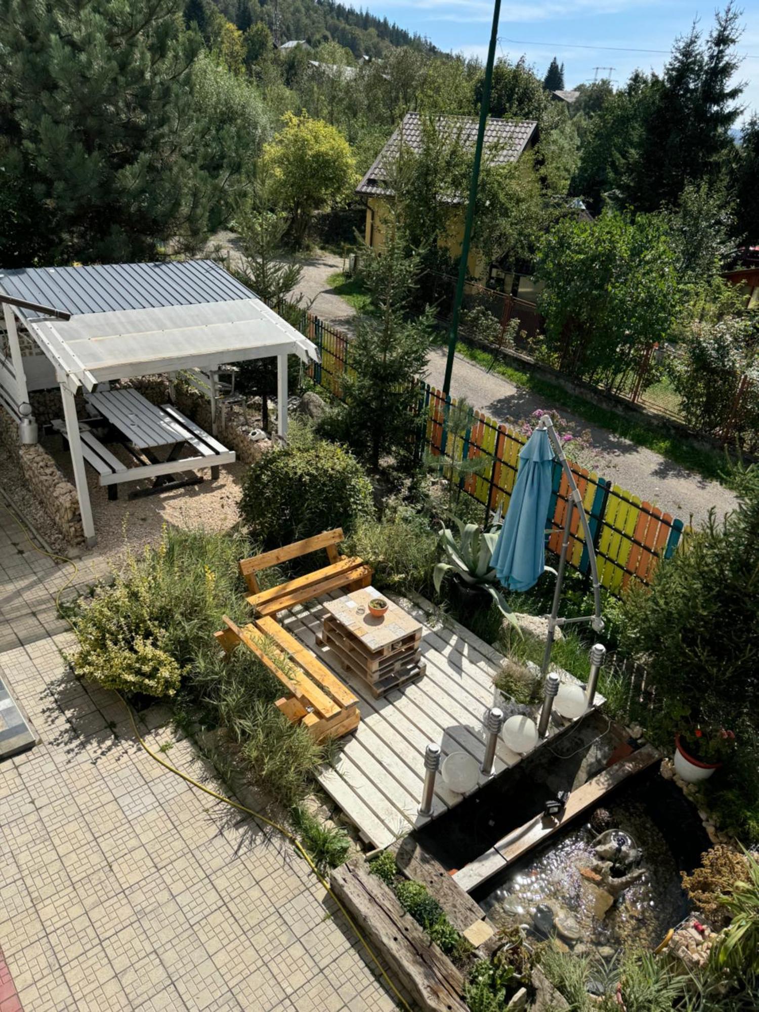 ホテル Casa David Buşteni エクステリア 写真