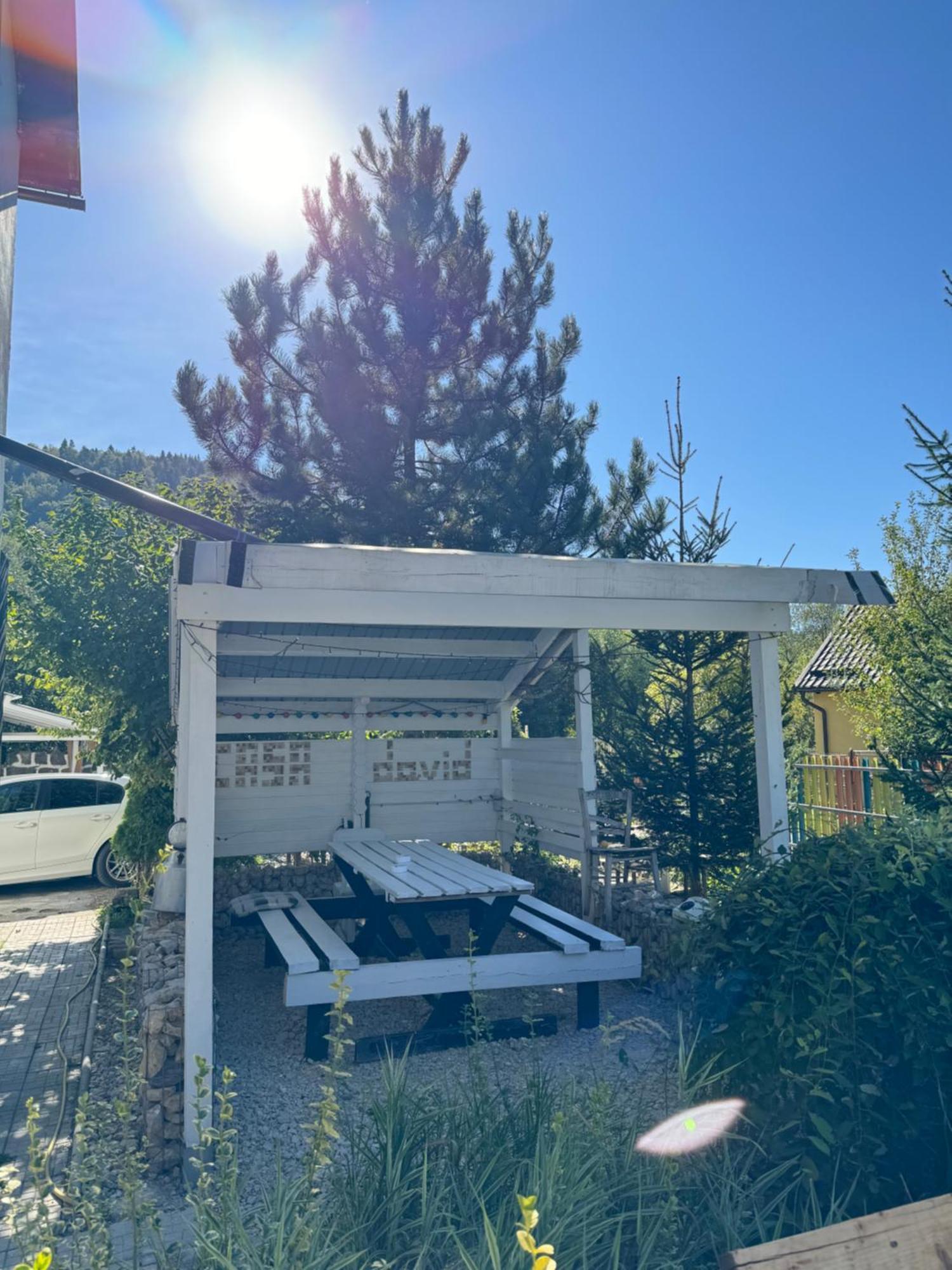ホテル Casa David Buşteni エクステリア 写真