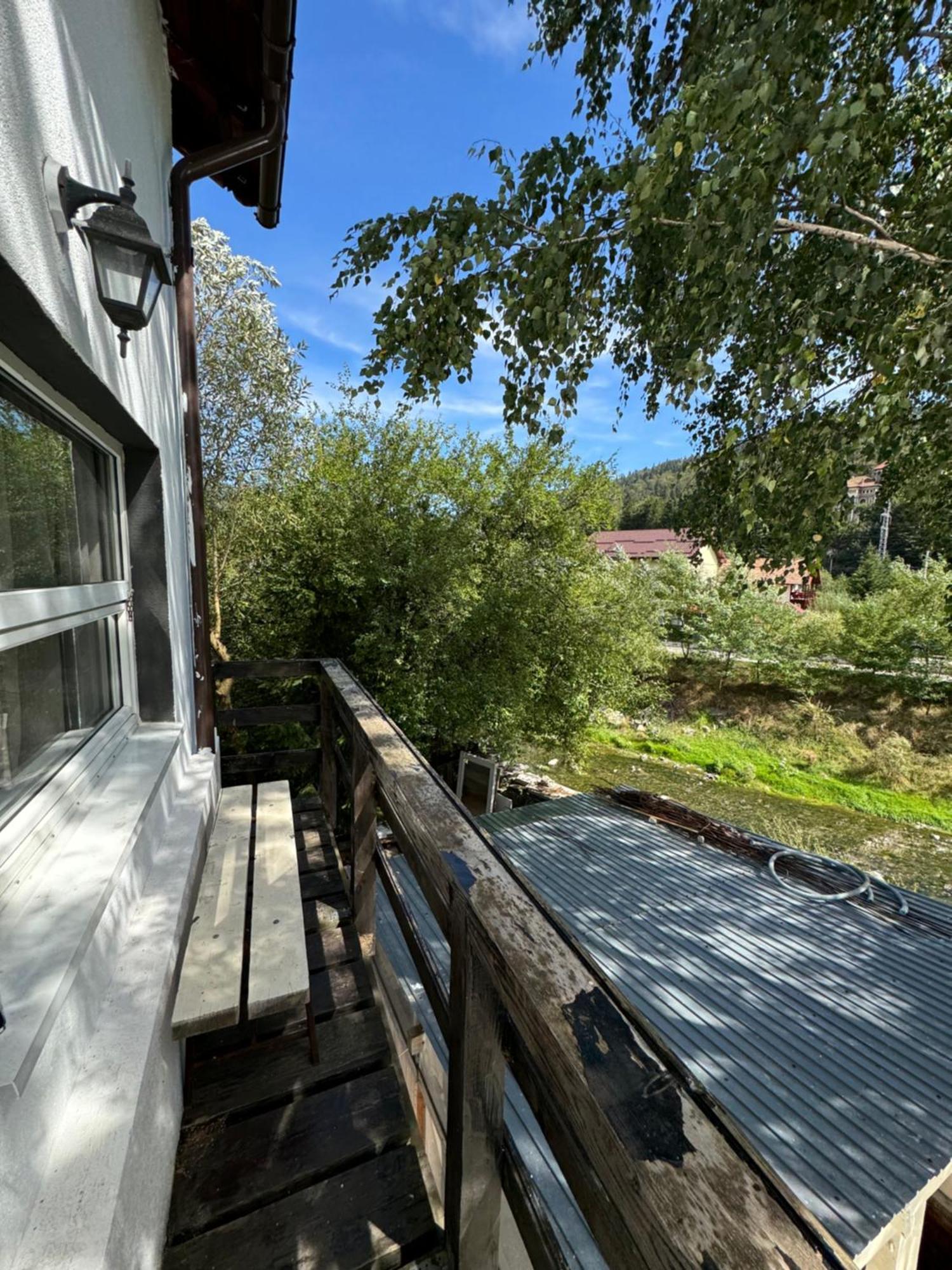 ホテル Casa David Buşteni エクステリア 写真