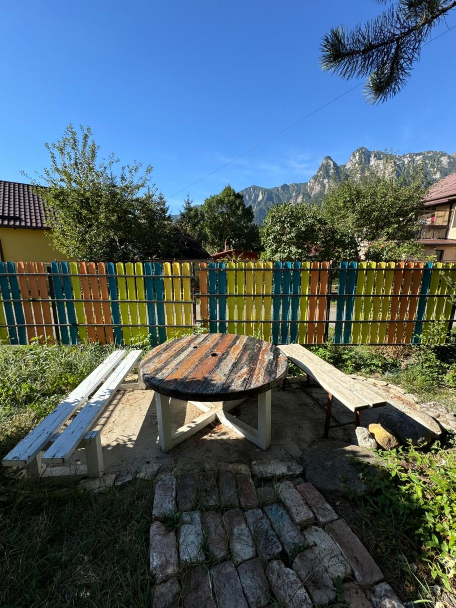ホテル Casa David Buşteni エクステリア 写真