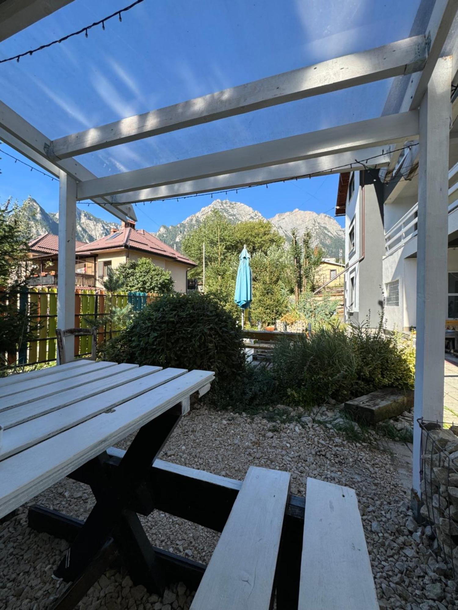 ホテル Casa David Buşteni エクステリア 写真