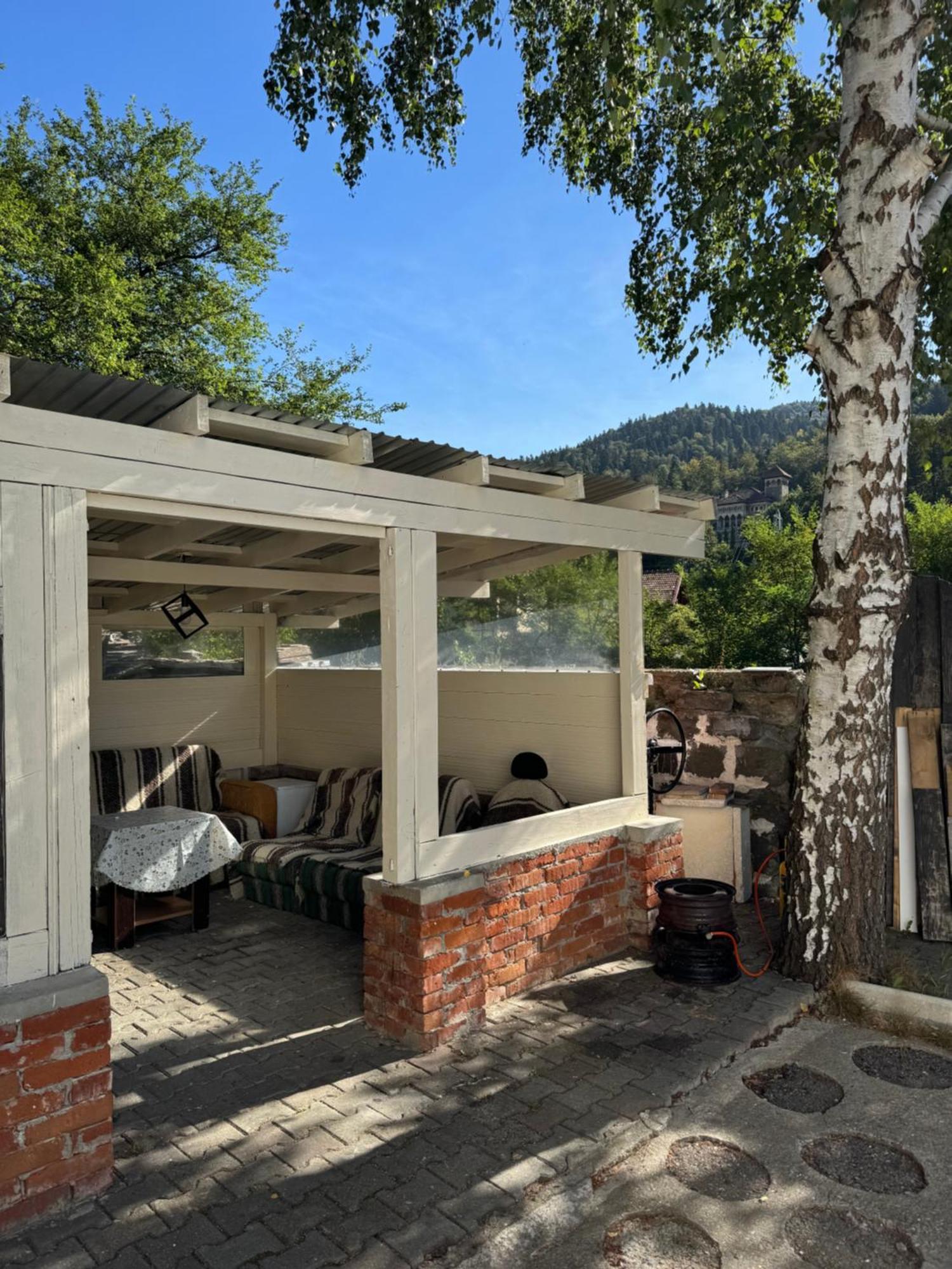 ホテル Casa David Buşteni エクステリア 写真