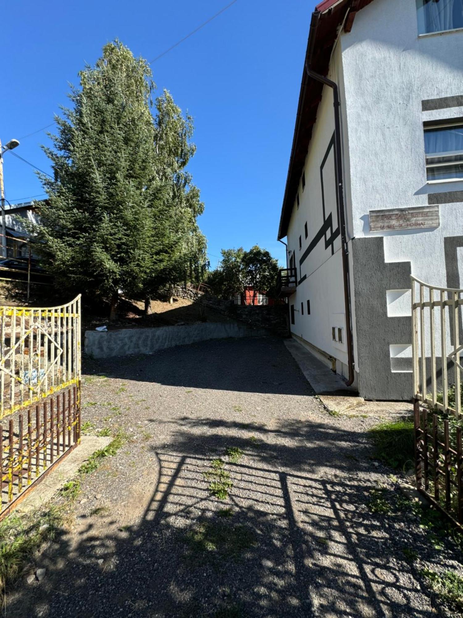 ホテル Casa David Buşteni エクステリア 写真