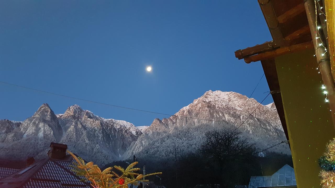 ホテル Casa David Buşteni エクステリア 写真